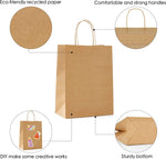 [CTC114] Paper Carry Bags With Secure Sealing Tape - 12" x 7" x 12" (100/150/200/250 Pack)